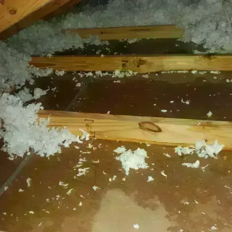 Attic Water Damage in Dayton, OH